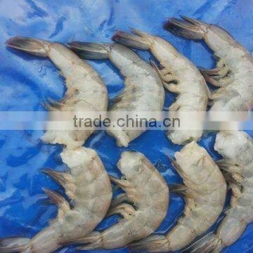 Vannamei Shrimp photo-2