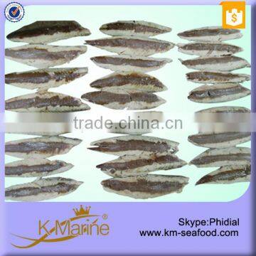 Hot Sale With Dark Meat Types of Fish Fillets