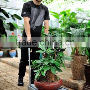 80kgs Plastic Luggage Hand Lift Trolley photo-6