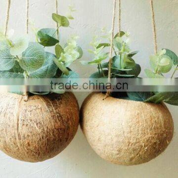 Ex-fty most affordable coconut box/storage container for green plant