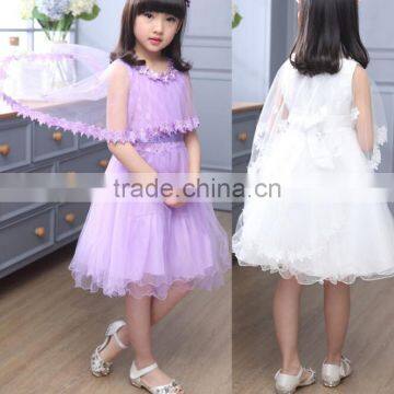 Zm50279b Summer New Style Child Clothes Wholesale Girls Princess Dress photo-3