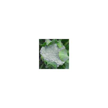 cauliflower 50-55 days seeds 6182