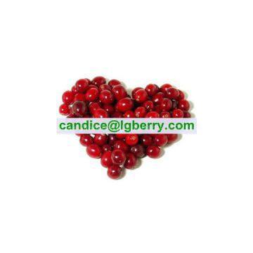 100% Superfruit Blend Imported Cranberry photo-1