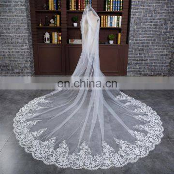 HSP1702 Luxury Real Photo Wedding Veils 3 Meters Long Lace Appliqued Bridal Veil