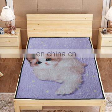 Wholesale Custom New Flannel Cartoon Printed Leisure Blanket photo-5