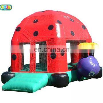 hot sale cheap kid indoor mini inflatable ladybug  bouncy castles