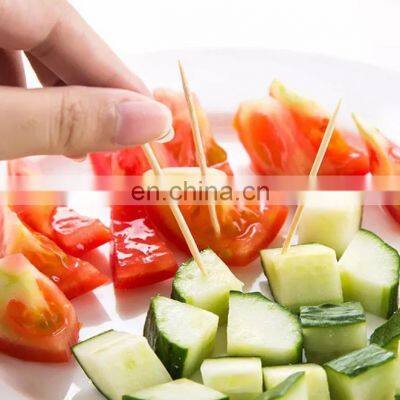 Wholesale Disposable Portable Toothpicks Bulk Toothpicks photo-5
