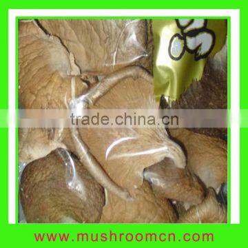 Dried Oyster Mushroom