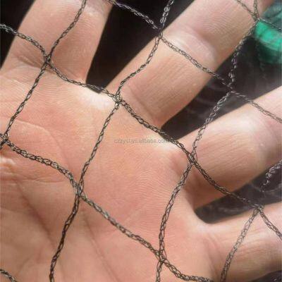 HDPE Grape Protection Net Anti Bird Net Agricultural Vineyard Hail Protection Net photo-4
