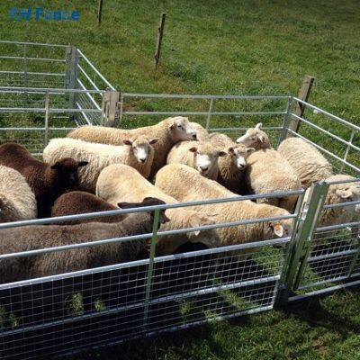 Facilement assemblées, des panneaux pour bétail soudés de 16 pieds utilisés comme clôture de corral pour chevaux, vaches et moutons