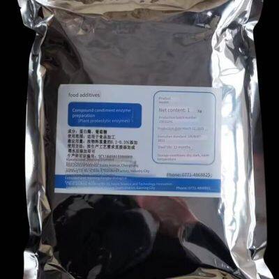 Manufacturer of Food-grade Plant Protein Hydrolase