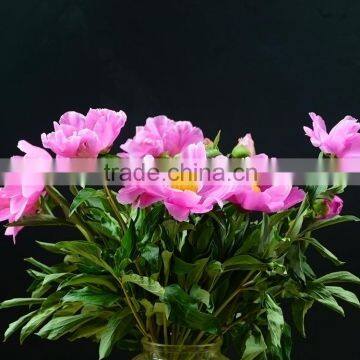 Good quality new coming decorative peony