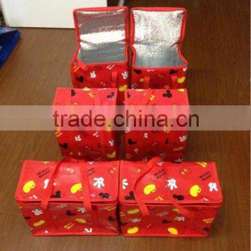 Insulated small cooler bag