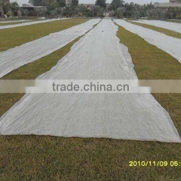 China non-woven plant cover supplier