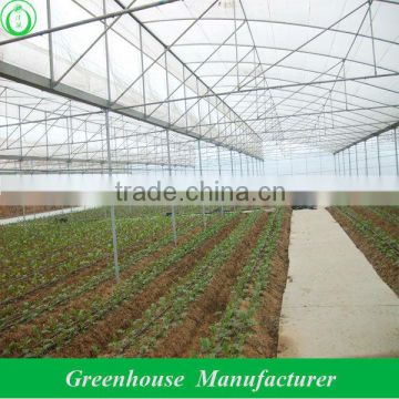 steel pipe greenhouse