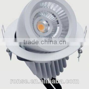 Ronse 30W aluminum recessed led trunk lamp adjustable (RS-F501C)