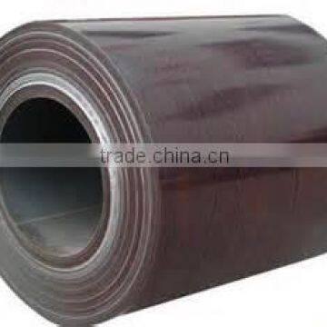 Prepainted Steel Coil, PPGI, Galvanised Steel Coil