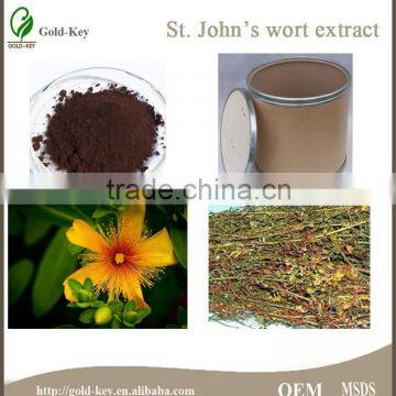 Hypericum Perforatum Extract, St.John's Wort Extract Powder photo-3