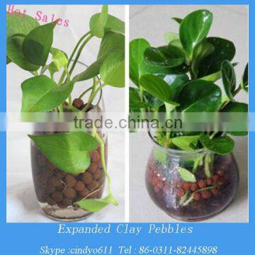 Hydroponics growing media expanded clay pebbles