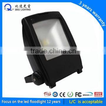 Bisu 70W High Power Outdoor LED Flood Light with CE ROHS FCC