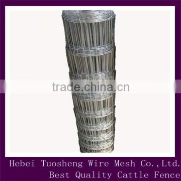 Hot sale hot-dipped galvanized cattle mesh fence