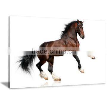 Horse Decor Canvas Oil Print Painting Art For Livingroom DWYS61