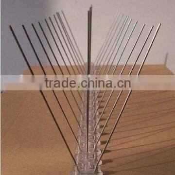 Bird Spikes
