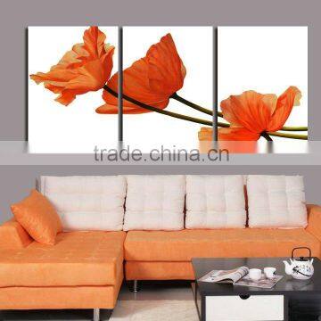art printing canvas 3panel