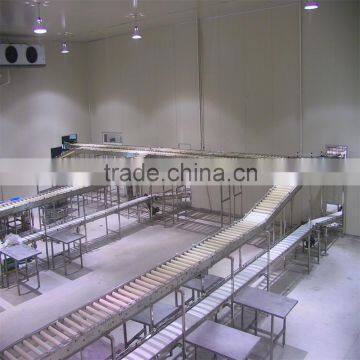 Lines for cutting and selecting of red meat with metal stainless belt