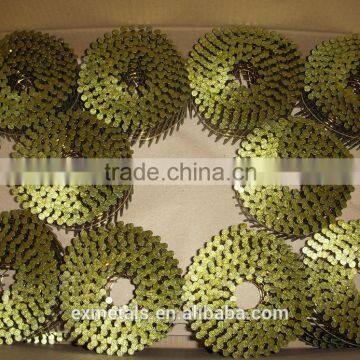 High Quality Free Sample Common Coil Nail photo-6