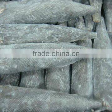 Frozen Fresh Oil Fish Rough Skin photo-1