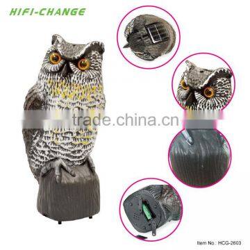 China Wholesale Sale All New Season IQF Frozen Chestnut photo-2