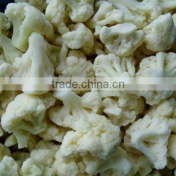 Best quality iqf frozen cauliflower fresh cauliflower