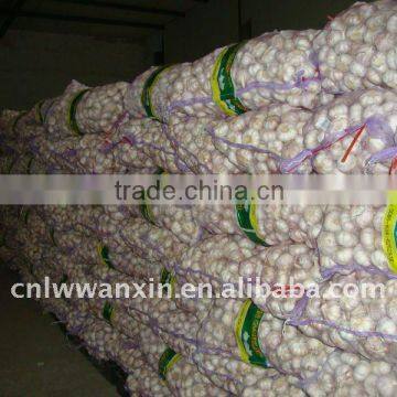 20kg meshbag normal white garlic