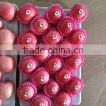 Apple Fruit Fresh photo-2