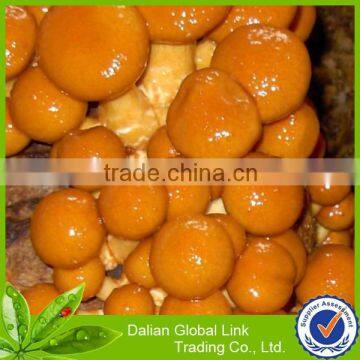 fujian nameko in 3100ml with export price