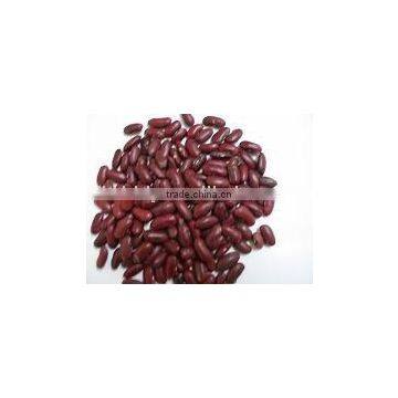 dark red kidney bean