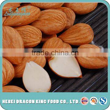 Raw bulk sweet apricot seeds type in apricot kernel, apricot seeds using for nuts, cake, chocolate food companies