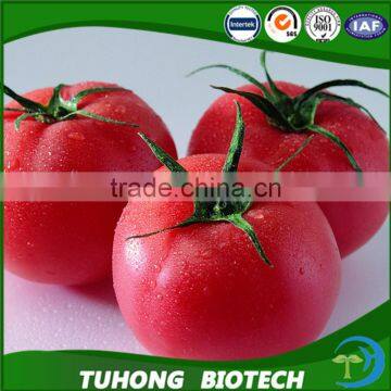 International Class Top Quality High Yield Chinese Vegetable Seeds Hybrid F1 Big Pink Tomato Seeds For Sale