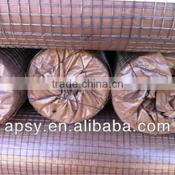 welded wire mesh/construction wire mesh/electro galvanized welded wire mesh