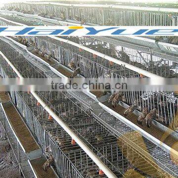 New Design Poultry Battery Quail Cage Of Bird Cage