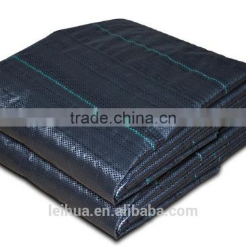 Over 20 years experience factory supply woven PP geootextiles fabric in roll