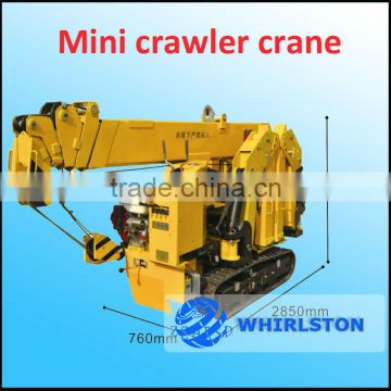 mini crawler crane