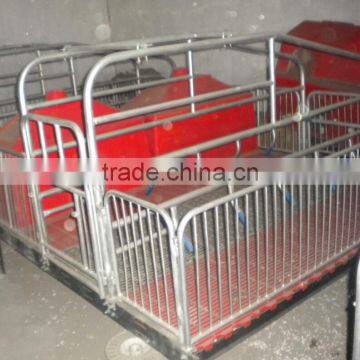 Pig Farming Equipment For Pig Farrow Crates