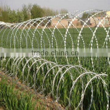 electric galvanized razor barbed wire( BTO-22,BTO-12 CBT-65 ISO9001 professional factory)