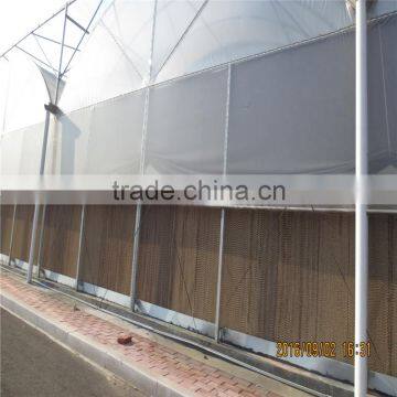 Glass Automatic Commercial Greenhouse For Sale photo-3