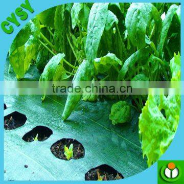 PP Ground Cover,weed Barrier Fabrics, Weed Mat in Strawberry Garden