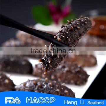 Frozen Sea Cucumber gold factory processing