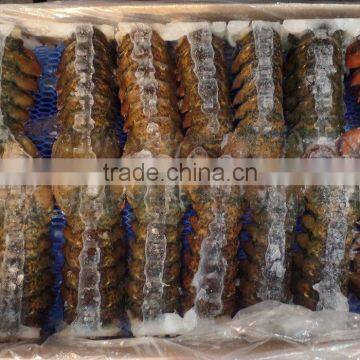 Lobster Tails photo-2