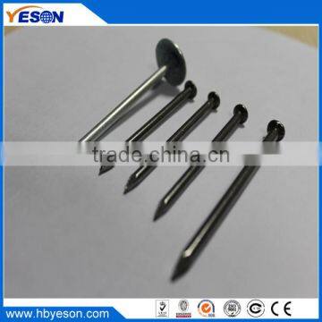 2 inch Polish common wire Nails hardware vendor